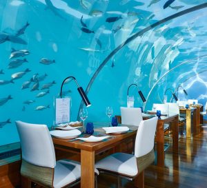Кои са 10-те най-скъпи ресторанти в света? - ithaa undersea restaurant 880x800 1