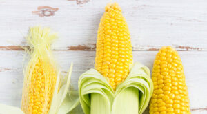 8 по-необичайни хранителни алергии - fresh yellow sweet corn dfh in season aug22 3368519878