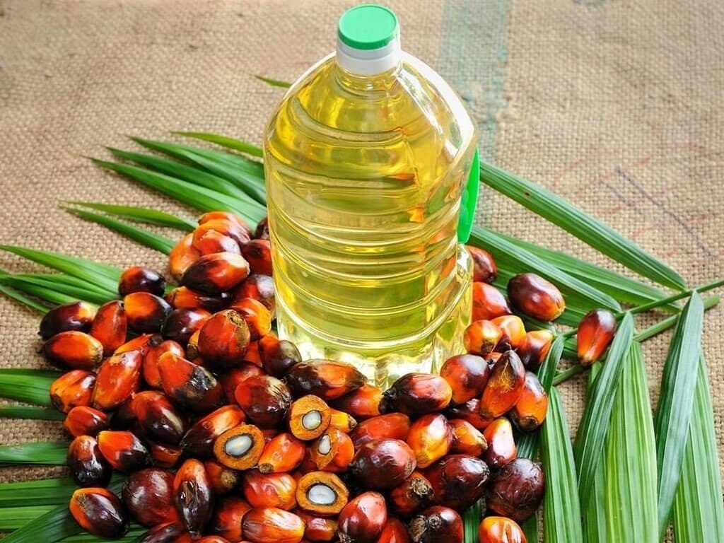 Палмовото масло – полезно или вредно?
