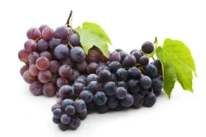 В оптимално здраве чрез хранене - bunch grapes