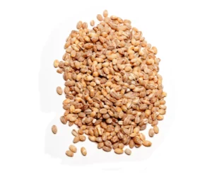 В оптимално здраве чрез хранене - main barley 1