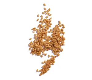 В оптимално здраве чрез хранене - main flaxseeds 1