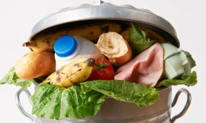 Как да предотвратим загубите на храна у дома - freshfoodingarbagecan usda header