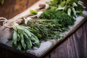 Пресните подправки- кратко ръководство как да ги използвате - herb tiny