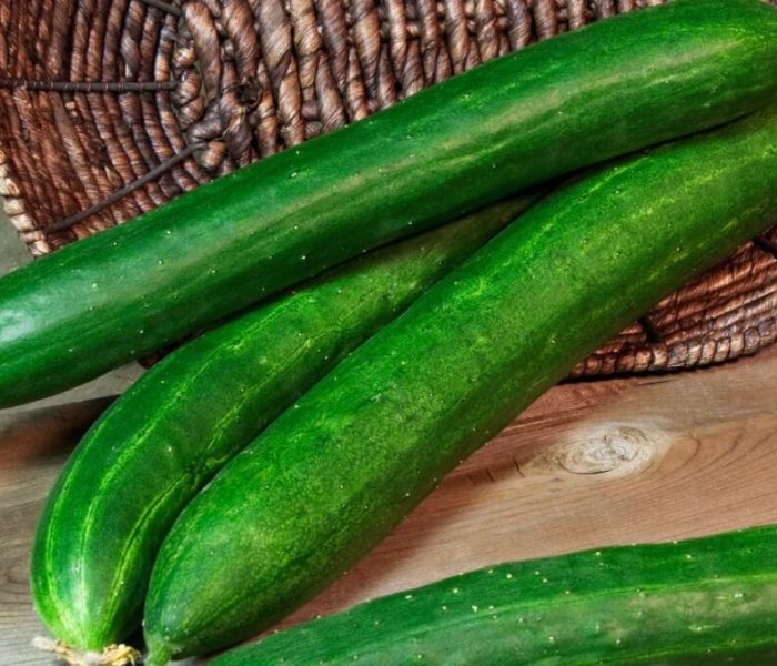 6 ползи за здравето от консумацията на крастивици - tasty green cucumber