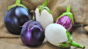 Патладжаните - лятно изкушение - eggplant fotm