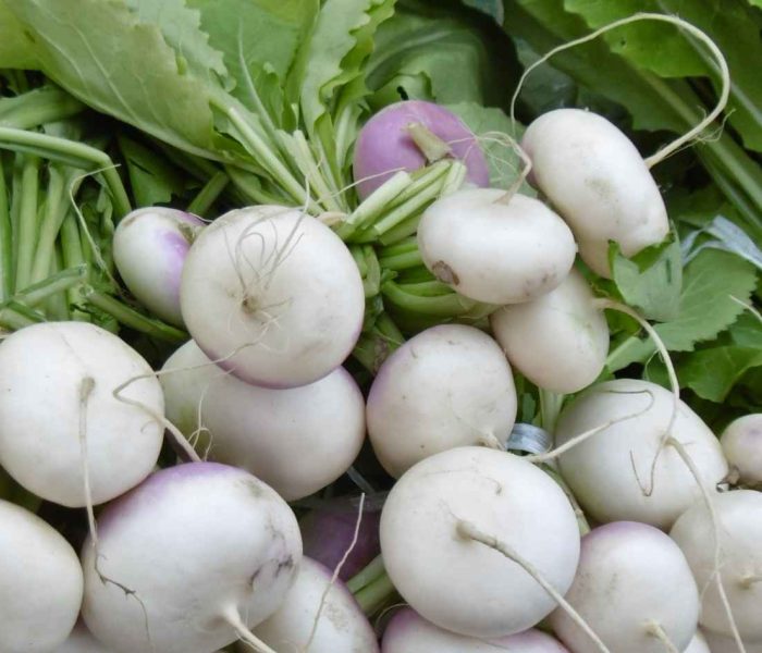 Какви ползи за здравето носи консумацията на ряпа - turnip benefits