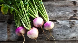 Какви ползи за здравето носи консумацията на ряпа - turnip root vegetable 1296x728 header 1296x728 1