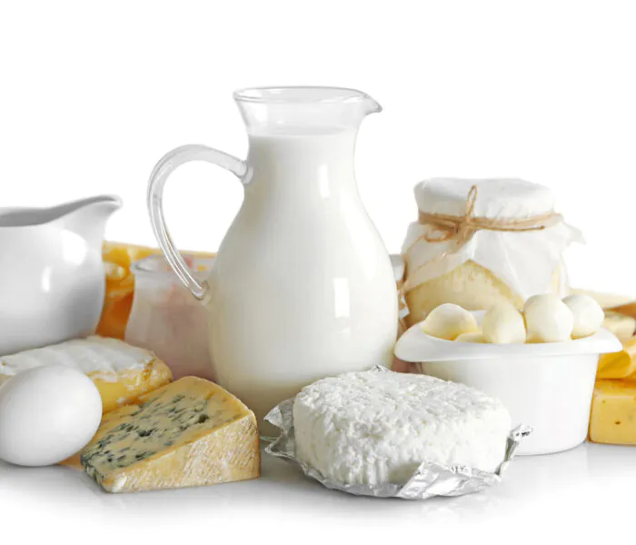 dairy products