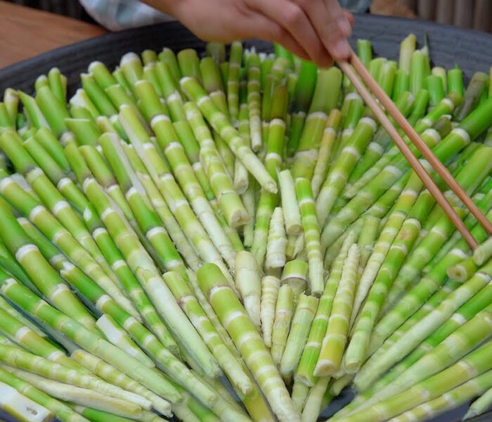 Бамбукови филизи полезни или отровни